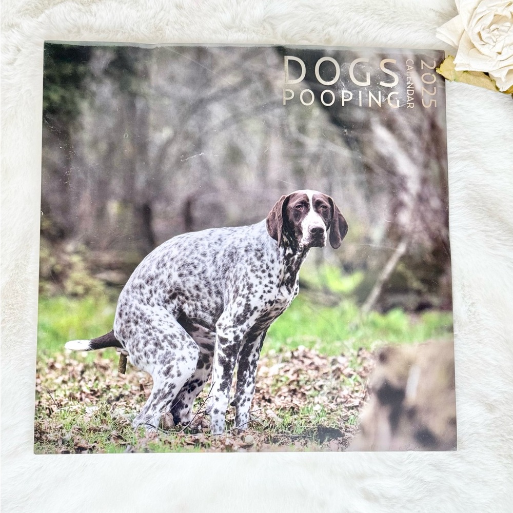 New with tags 2025 Dogs Pooping Calendar -pages of various dogs popping